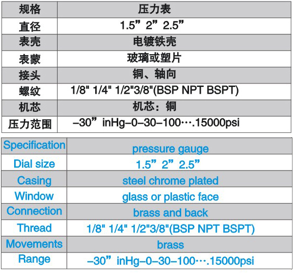 带边充油表 GB3A8206